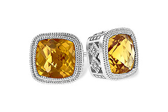 A300-36818: EARR 1.70 TW CITRINE