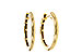 C302-25836: GOLD EARRINGS (16MM)