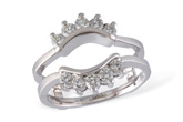 D120-36808: GUARD RG .50 TW