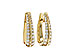 F302-21354: EARRINGS 1.00 TW